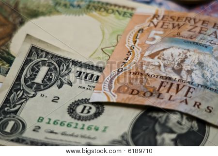 Bills short focus