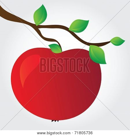 Apple On A Branch