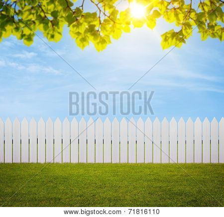 Back yard background