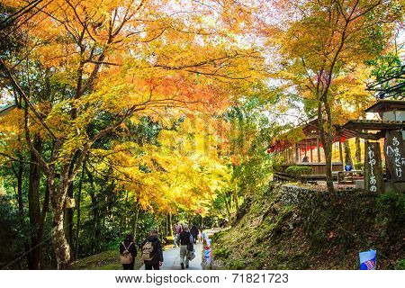 Jingo-ji is a Buddhist temple in Kyoto