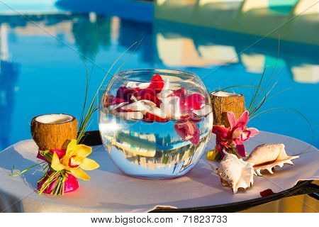 Two Glasses Of Coconut With Orchids, Two Seashells In A Fishbowl