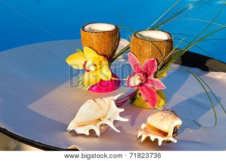 Two Glasses Of Coconut With Orchids And Two Seashells