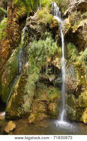 Waterfall With Green Plants And Flowers In Spain