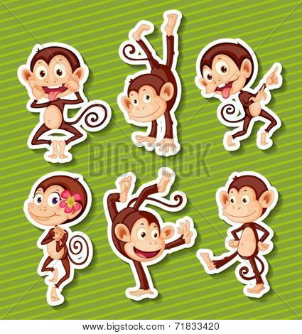 Illustration of six monkeys with different poses