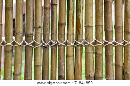 bamboo fence