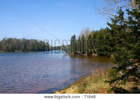 Fluss im Frühjahr
