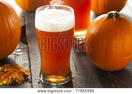 Frothy Orange Pumpkin Ale