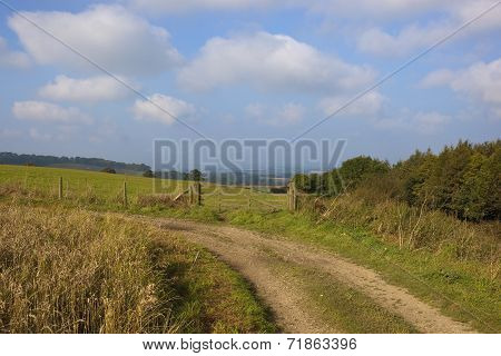 Upland Pastures