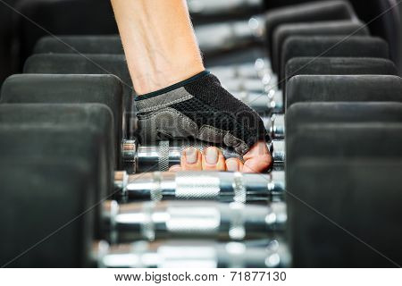 A Rack With Metal Dumbbells In Gym.