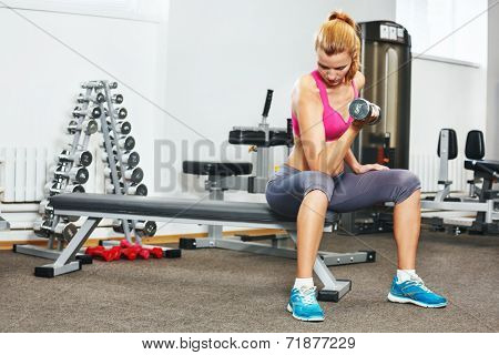 Young Woman Exercising With Dumbbells In Gym.