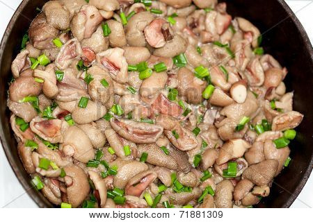Fried luteus with green onion close-up