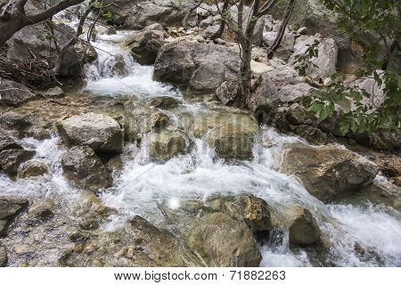 Small Mountain Stream