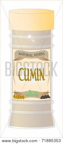 Cumin Spice
