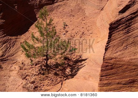 Scogliere ocra di Roussillon