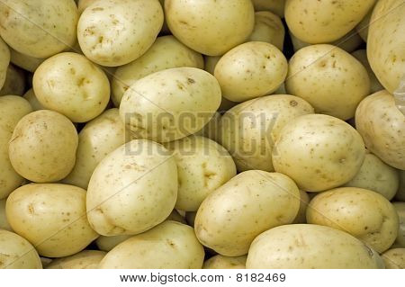 Patate bianche nuovi