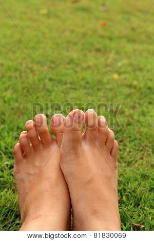 Women Feet In The Grass
