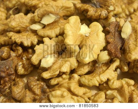 walnut kernels