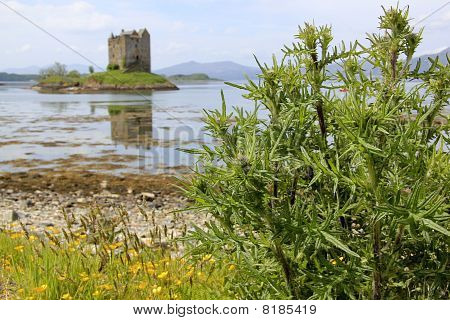 Tidsler Loch Linnhe Castel Stalker