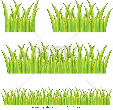 Green Grass
