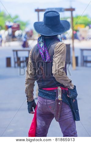 Tombstone Vigilante Days