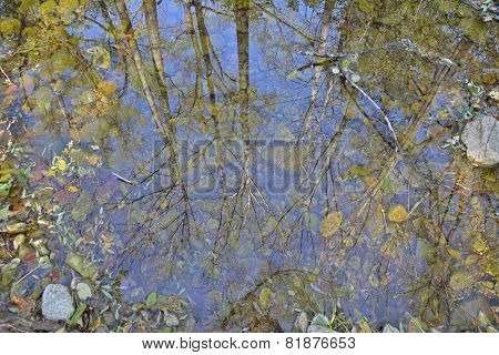 Reflection On River