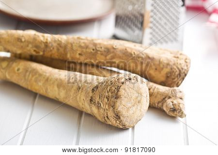 fresh horseradish root on kitchen table