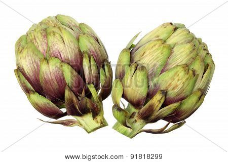 Artichoke