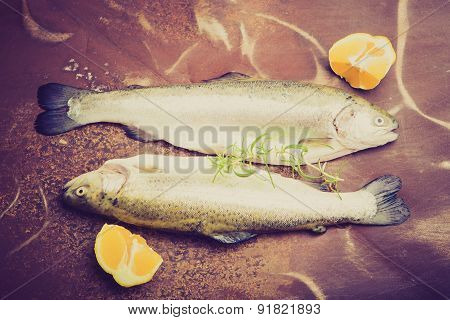Vintage Photo Of Two Rainbow Trout On A Tinware