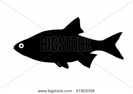 Silhouette Of The Fish Ide (orfe)