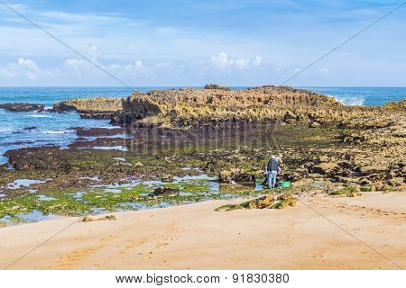 OUALIDIA, MOROCCO, APRIL 6, 2015:  fishermen looks for seafood on beach (Atlantic coast)