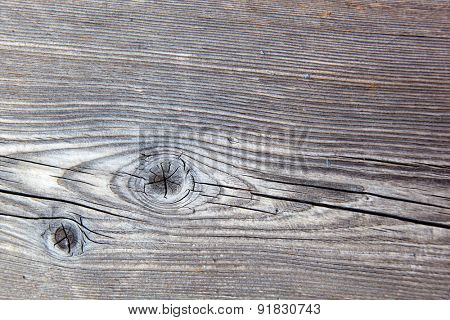grain in the wood