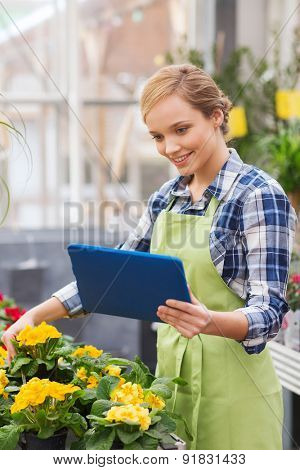 people, gardening, technology and profession concept - happy woman or gardener with tablet pc computer and flowers in greenhouse