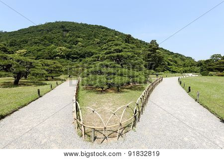 Japanese garden