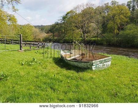 Pastoral Scene in Ireland