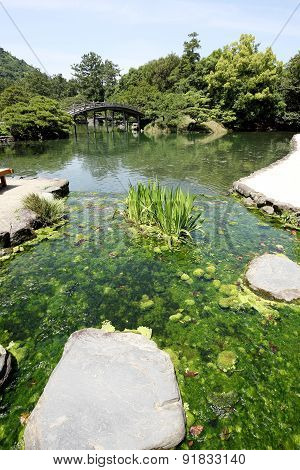 Japanese garden