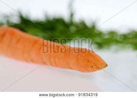 organically grown carrots. fresh vegetables and fruits is always healthy. symbolic photo for healthy diet.
