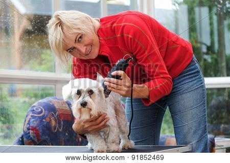 Smiling Blonde Woman Is Grooming A White Maltese Dog