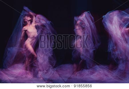 photo as art - a sensual and emotional dance of beautiful ballerina through the veil