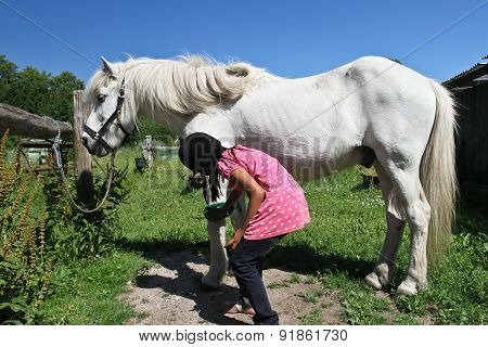 Girl With A White Horse In Denmark