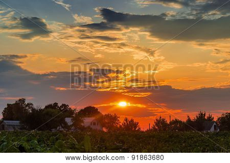 Sunset In The Countryside
