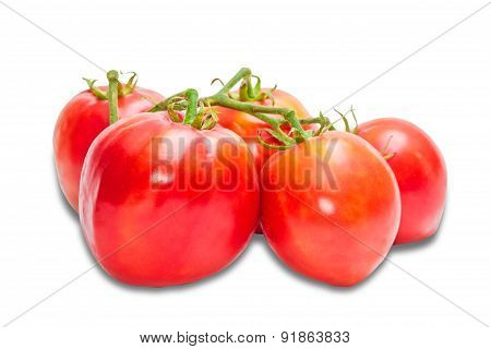 Bunche Of Tomatoes