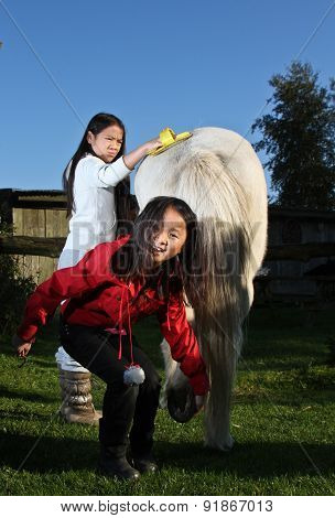 Young Girl With A Horse In Denmark
