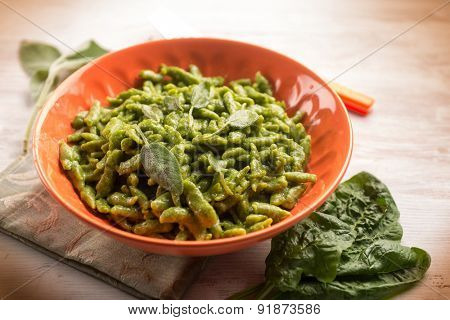 spaghetti with vegetarian ragout, selective focus