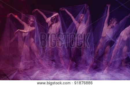 sensual and emotional dance of beautiful ballerina through the veil
