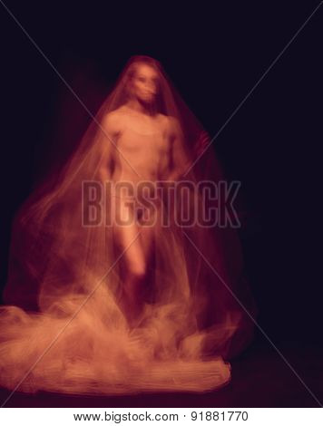 sensual and emotional dance of beautiful ballerina through the veil