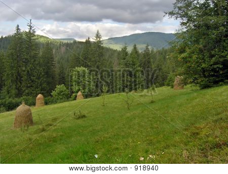 gebirgigen grünen Wiese 