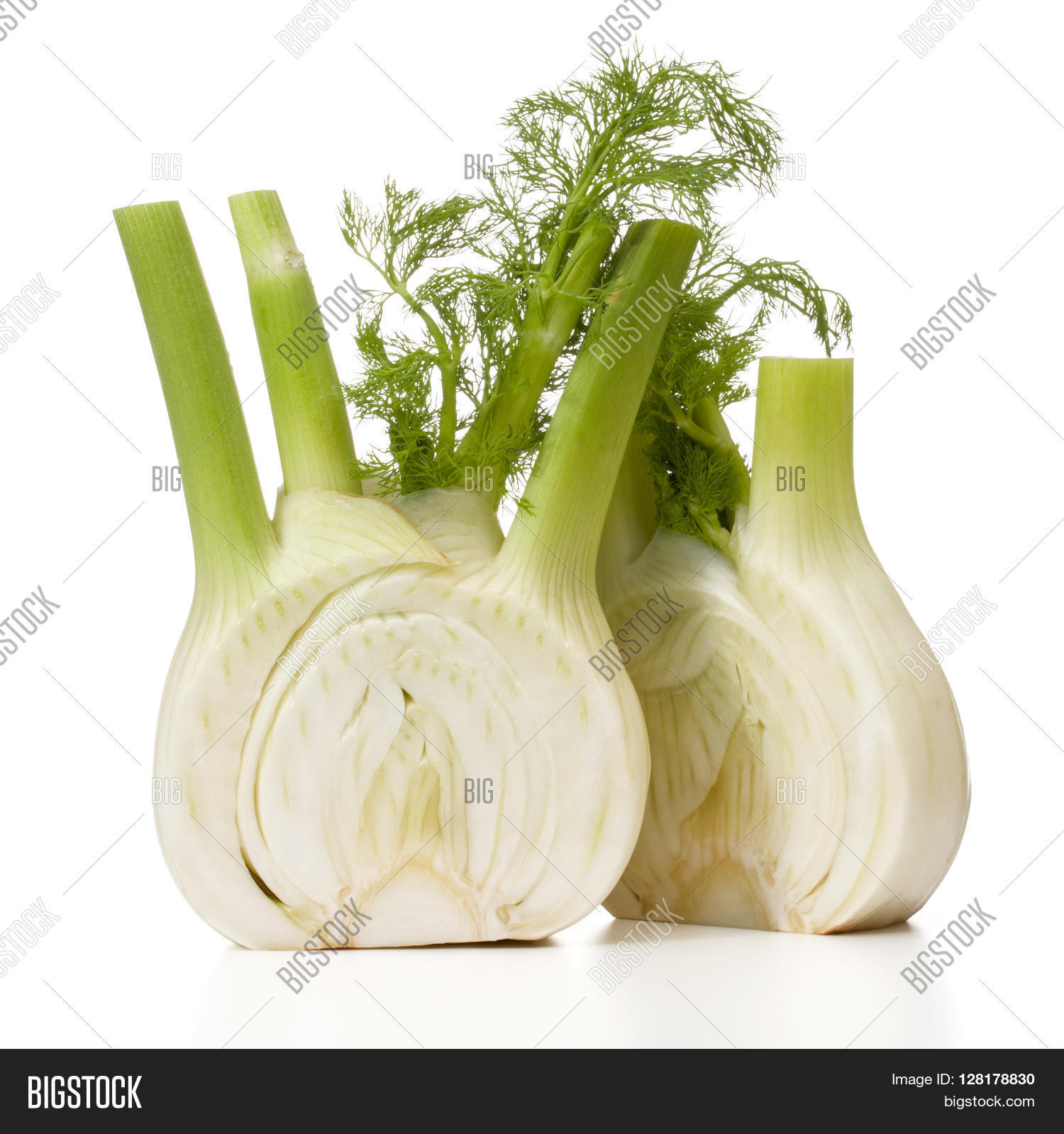 Fresh Fennel Bulb Image & Photo (Free Trial) Bigstock