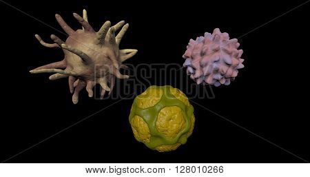 Three types of pollen grains extreme close up , 3D Rendering, illustration
