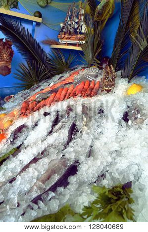 Display stands of fishes and seafoods but also shellfish put on the ice.