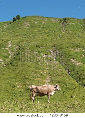 A view of Alpine mountains surrounding the village Schocken in Bregenzerwald region Vorarlberg Austria